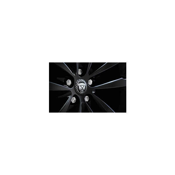 Carbon Fibre Wheel Centre Badge