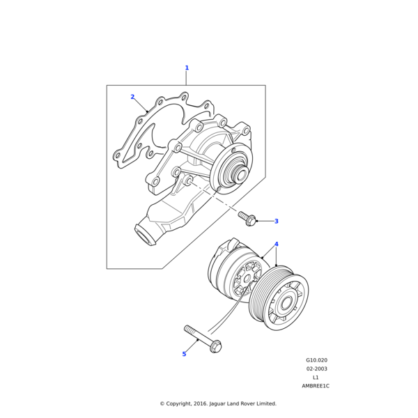 Land Rover Gasket-coolant pump body